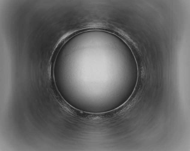 X0000116321222200912091012