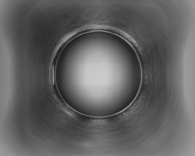 X0000116321223200912091012