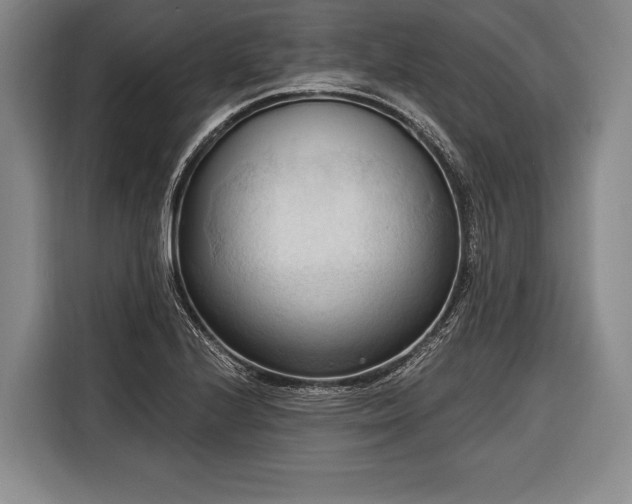 X0000116321224200912091012