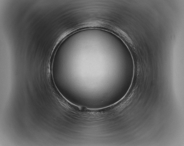 X0000116321226200912091012