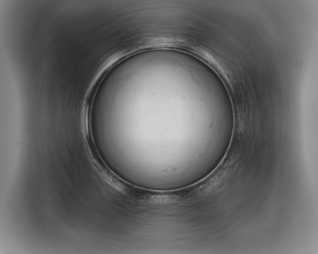 X0000116321227200912091012