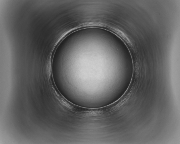 X0000116321228200912091013