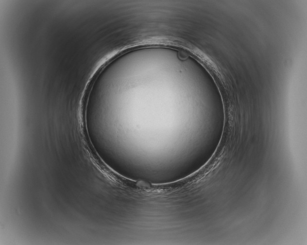 X0000116321230200912091013