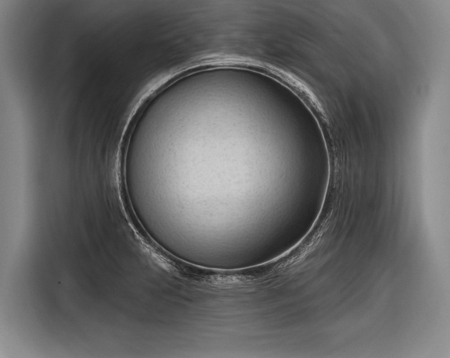 X0000116321231200912091013