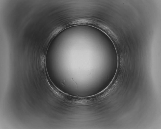 X0000116321233200912091013