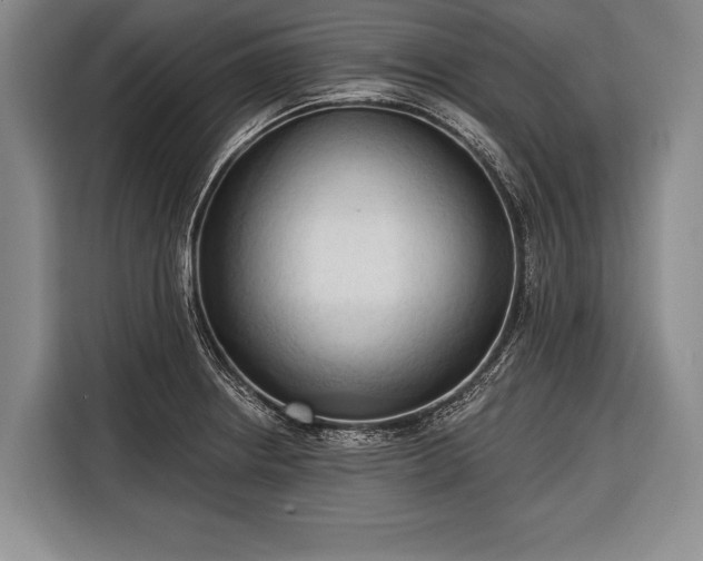 X0000116321234200912091013