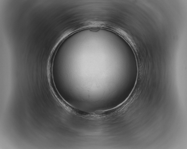 X0000116321235200912091013