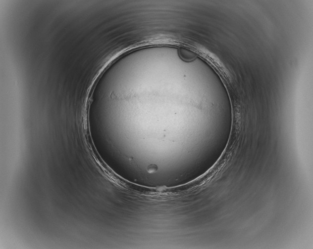 X0000116321236200912091013