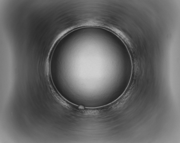 X0000116321238200912091013