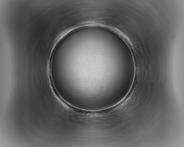 X0000116321239200912091013