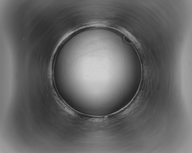 X0000116321240200912091013