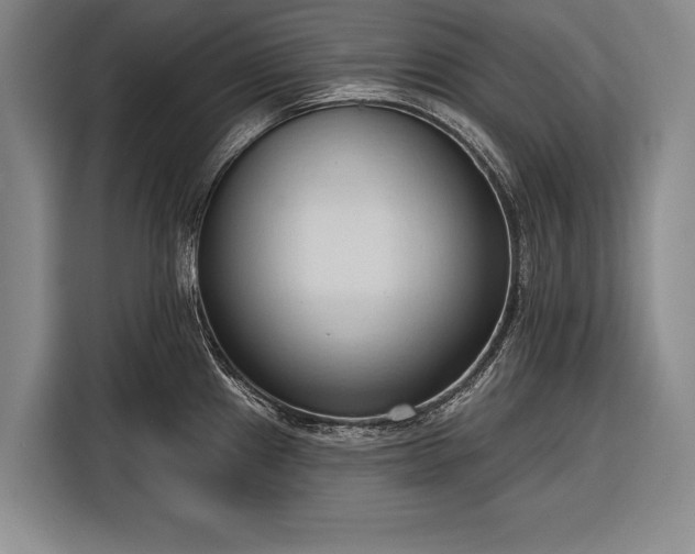 X0000116321241200912091013