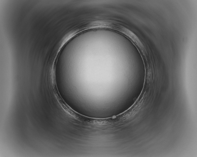 X0000116321242200912091013