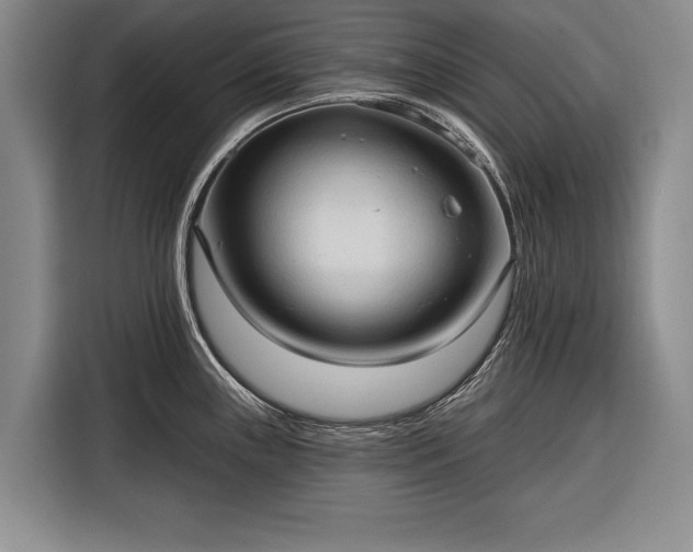 X0000116321243200912091013