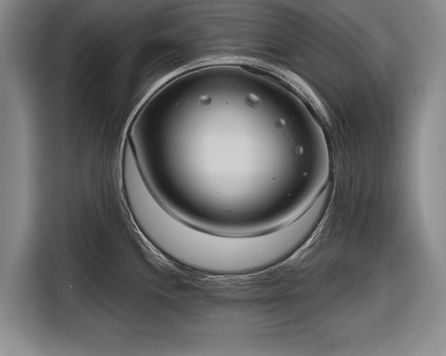 X0000116321244200912091013