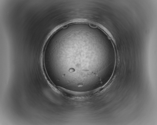 X0000116321245200912091013