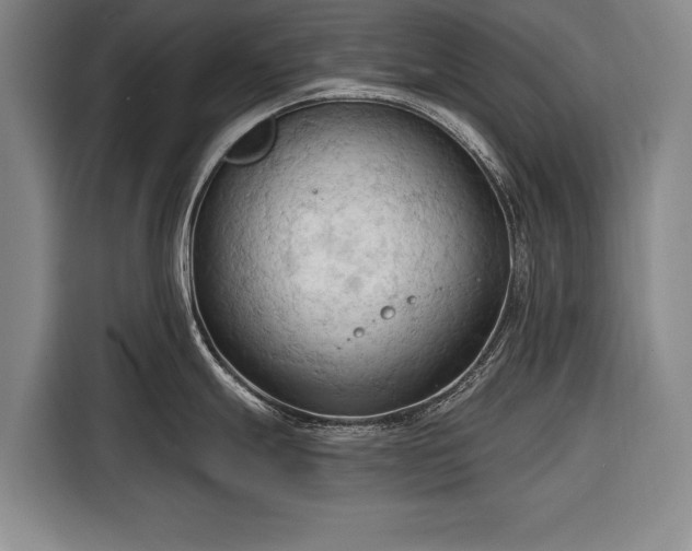 X0000116321247200912091013