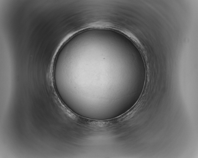 X0000116321248200912091013