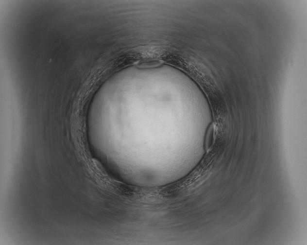 X0000116321249200912091012