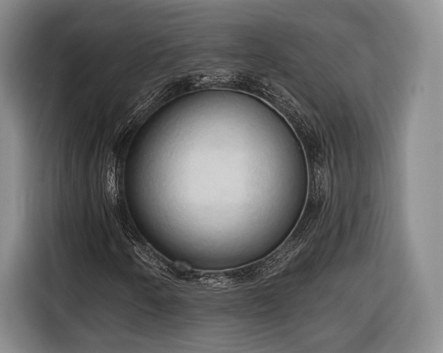 X0000116321250200912091012