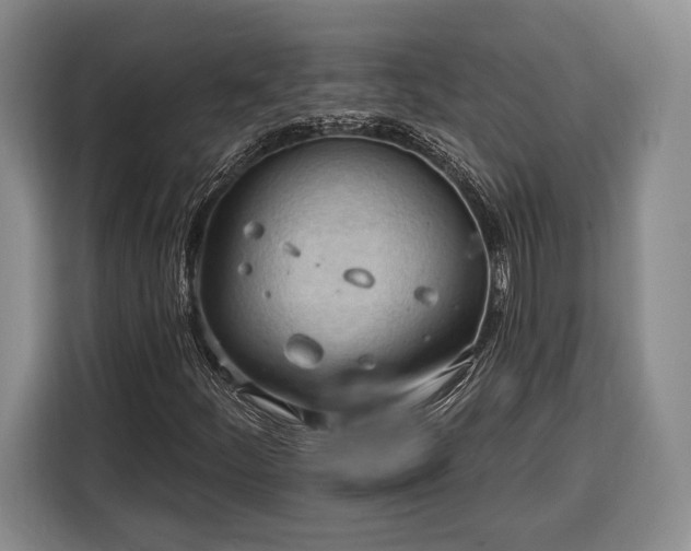 X0000116321252200912091012