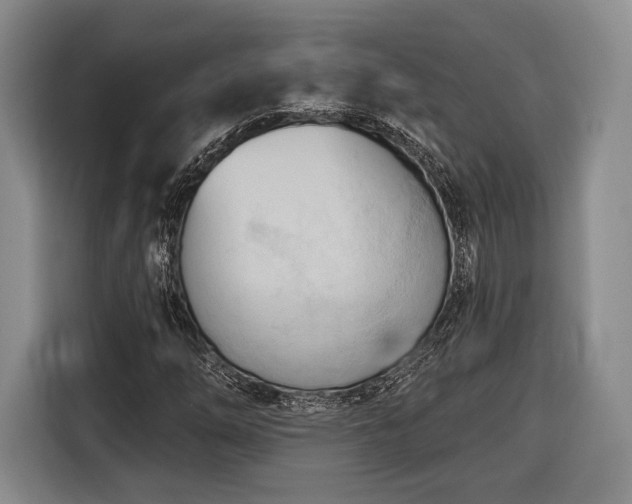 X0000116321254200912091012