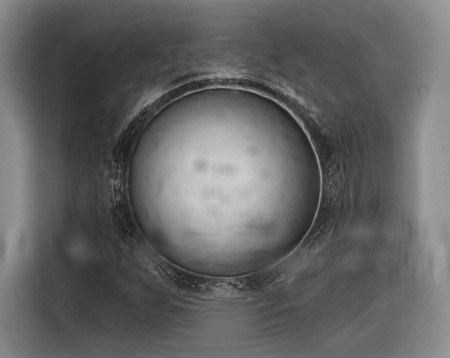 X0000116321255200912091012