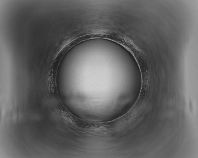 X0000116321256200912091012