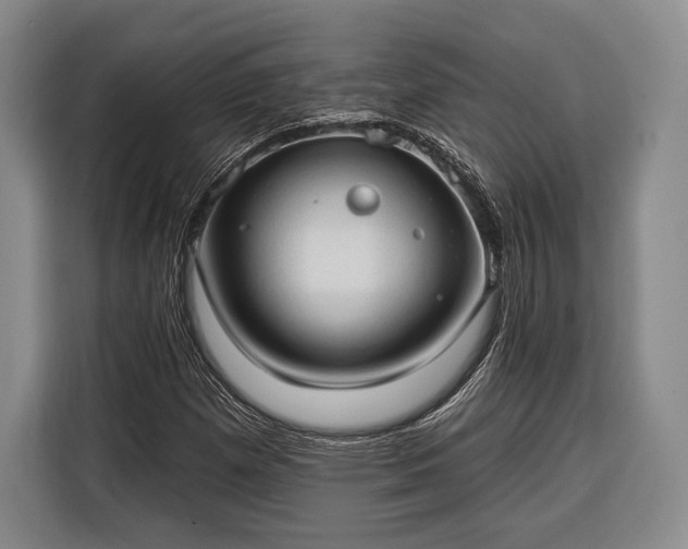 X0000116321257200912091012