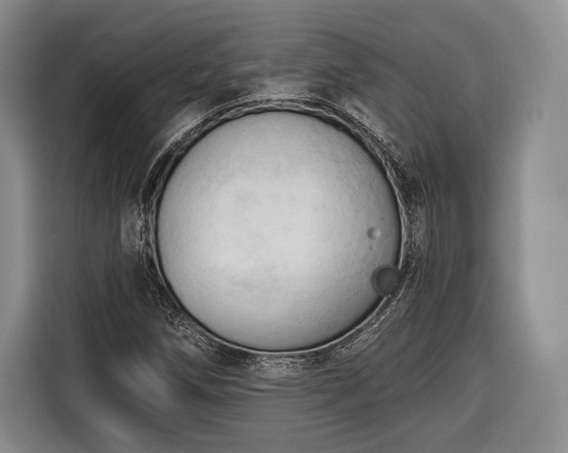 X0000116321258200912091012