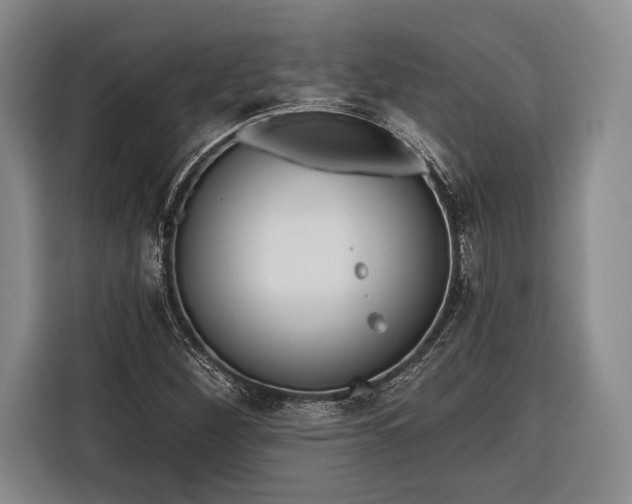 X0000116321260200912091012