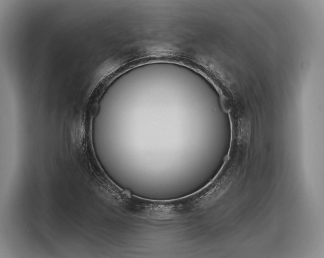 X0000116321261200912091012