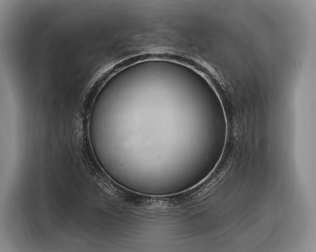 X0000116321263200912091012