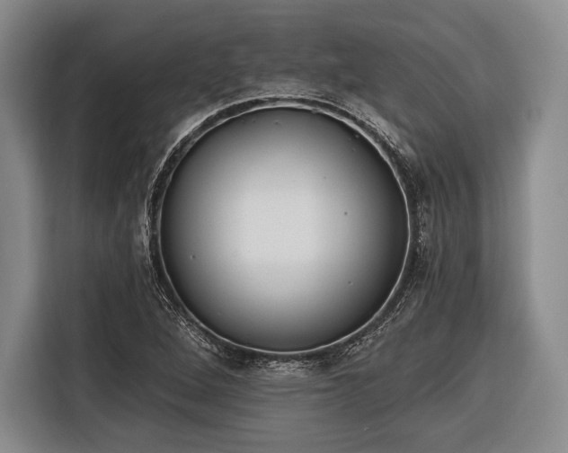 X0000116321264200912091012