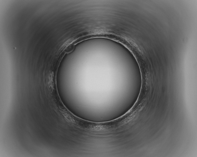 X0000116321265200912091012