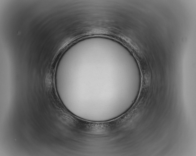 X0000116321266200912091012