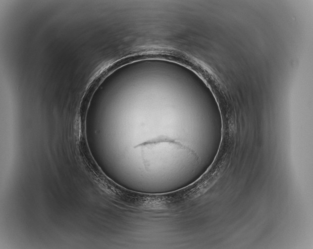 X0000116321267200912091012