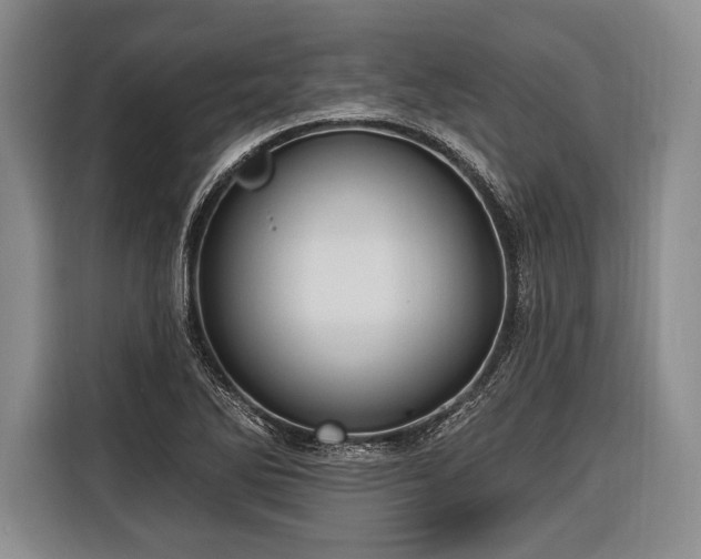 X0000116321270200912091012