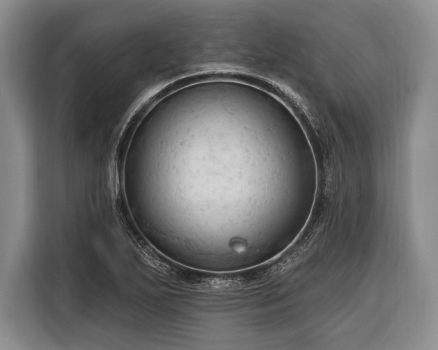 X0000116321271200912091012