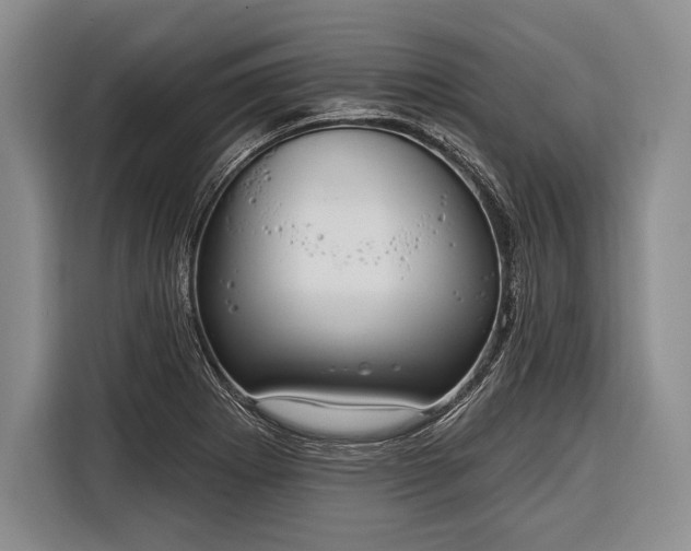 X0000116321273200912091012