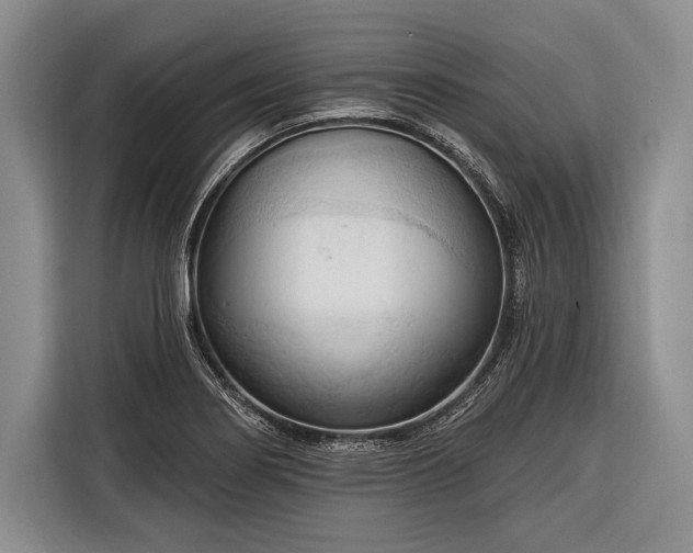 X0000116321274200912091012