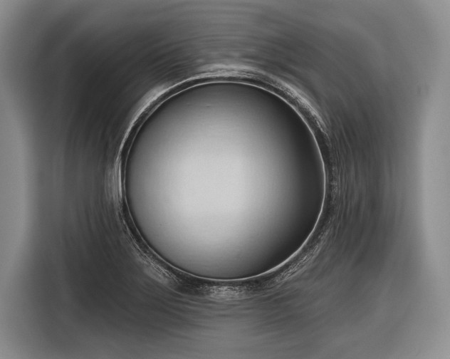 X0000116321275200912091012