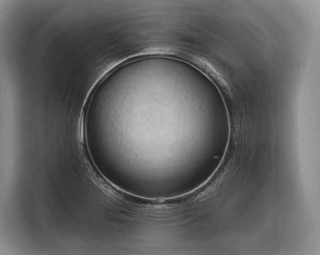 X0000116321276200912091012