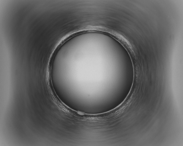 X0000116321280200912091012