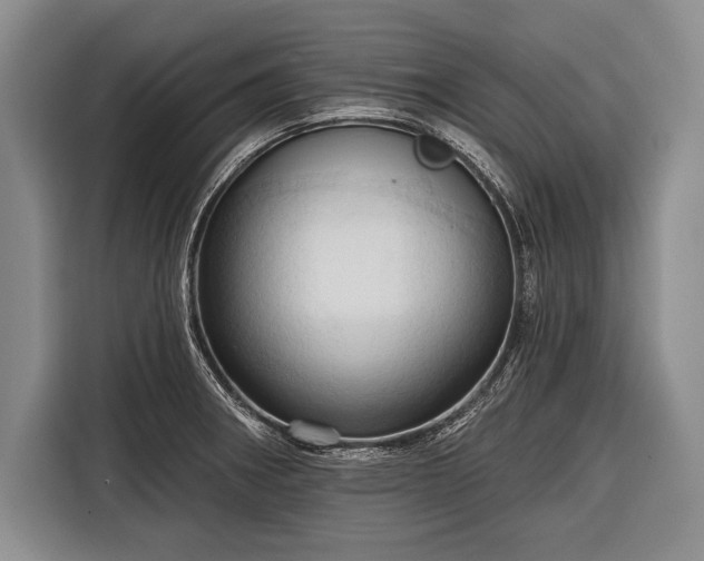 X0000116321282200912091012