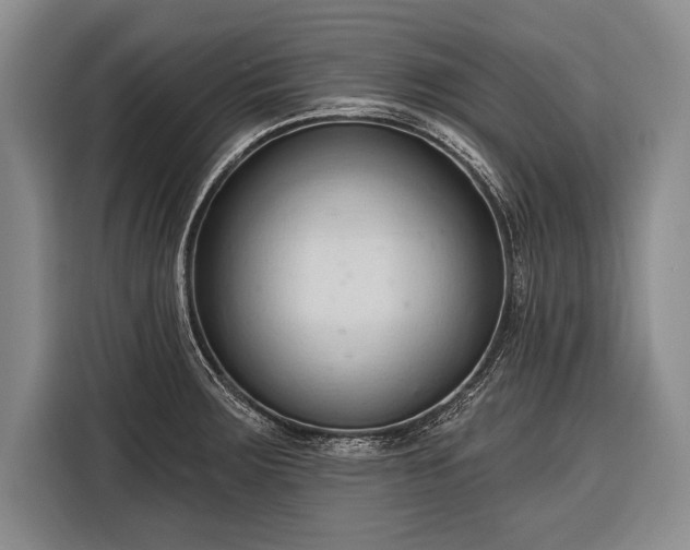 X0000116321283200912091012