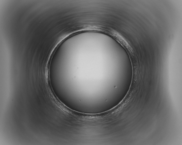 X0000116321284200912091012