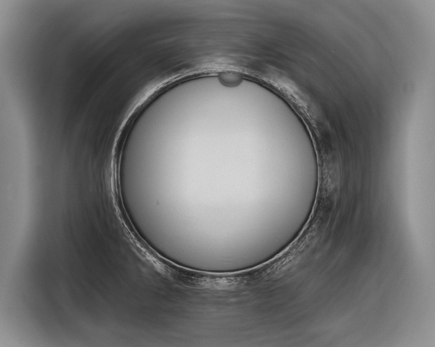 X0000116321286200912091012