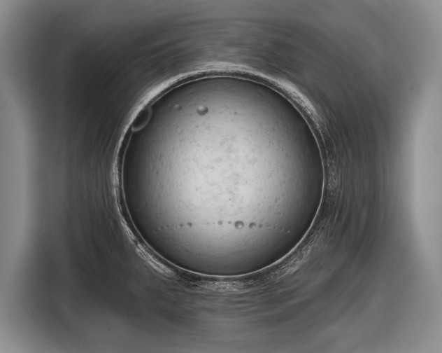 X0000116321287200912091012