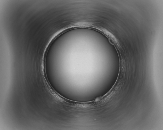 X0000116321288200912091012